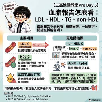 血脂報告怎麼看：LDL、HDL、TG全解析
