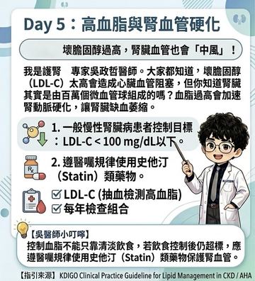 高血脂與腎血管硬化
