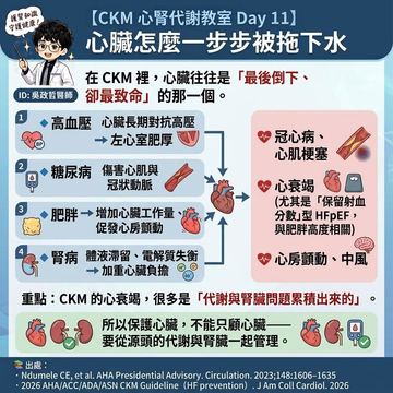 代謝與腎臟問題如何一步步拖垮心臟