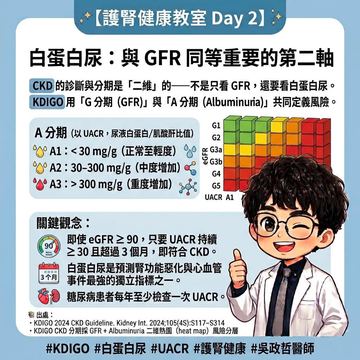 白蛋白尿UACR是評估腎臟風險關鍵指標