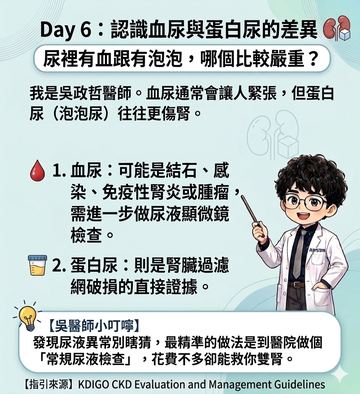 認識血尿與蛋白尿的差異