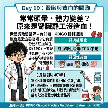 腎因性貧血與EPO分泌不足的關聯