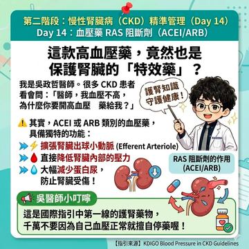 ACEI與ARB血壓藥的護腎機轉