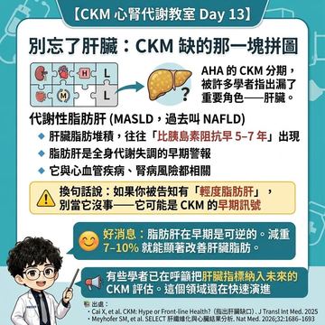 脂肪肝是心腎代謝症候群的早期警訊