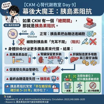 胰島素阻抗：心腎代謝疾病背後的總開關
