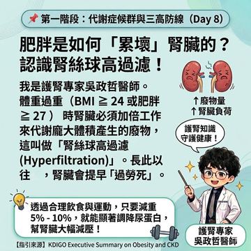 體重過重如何加重腎絲球高過濾負擔