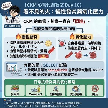 慢性發炎與氧化壓力如何悄悄傷害血管腎臟