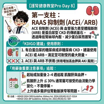 ACEi與ARB為蛋白尿型腎病護腎基石