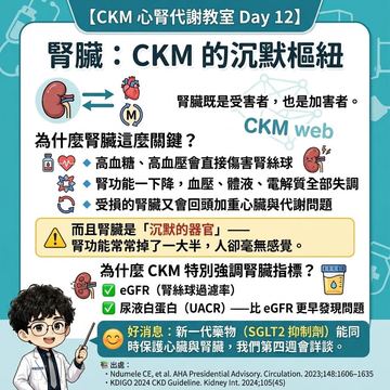 腎臟是CKM沉默樞紐，要看eGFR與尿白蛋白