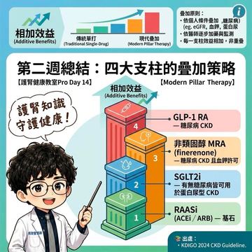 糖尿病腎病四大護腎藥物疊加治療策略