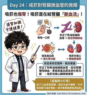 戒菸如何保護腎臟微血管健康