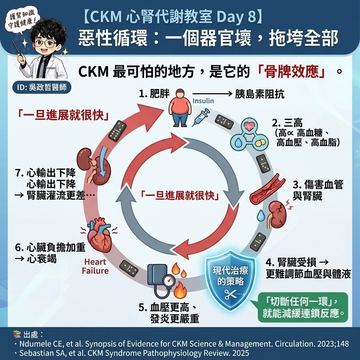 心腎代謝的骨牌效應：一個器官壞拖垮全身