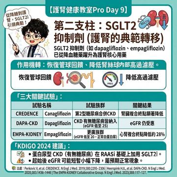 SGLT2抑制劑成為護腎治療新典範